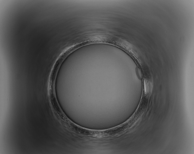 X0000097840579200803201520