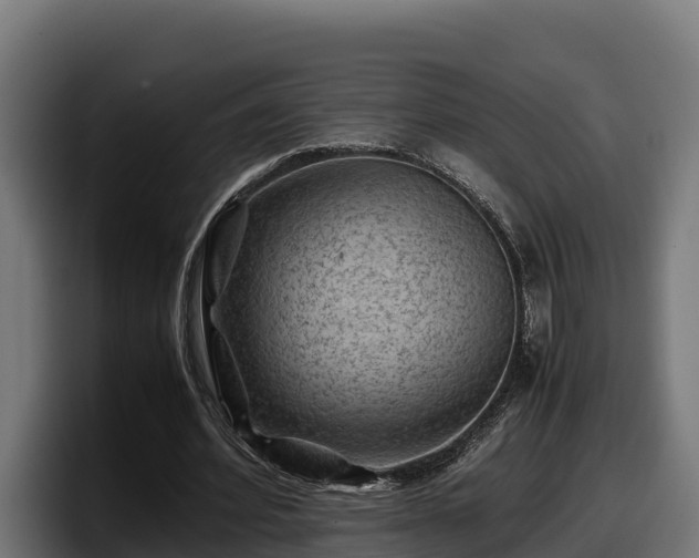 X0000097840580200803201520