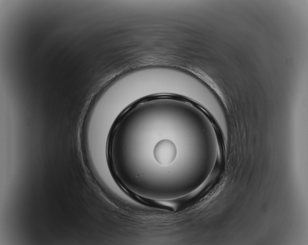 X0000097840581200803201520