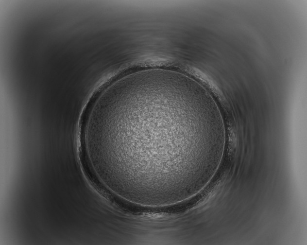 X0000097840582200803201520