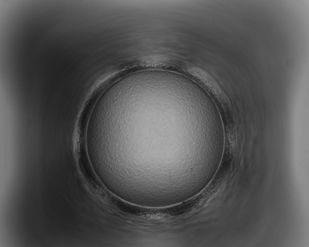 X0000097840583200803201520