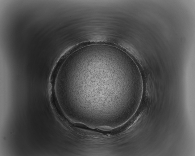 X0000097840584200803201519