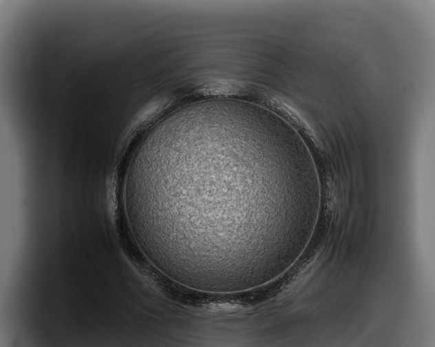 X0000097840586200803201519