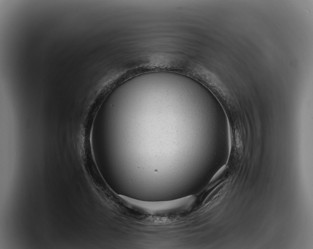 X0000097840588200803201519