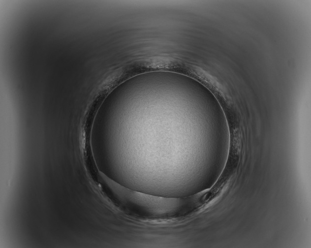 X0000097840589200803201519