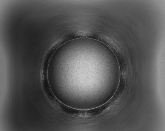 X0000097840591200803201519