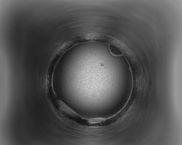 X0000097840592200803201519