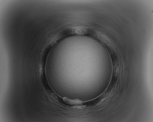 X0000097840595200803201519