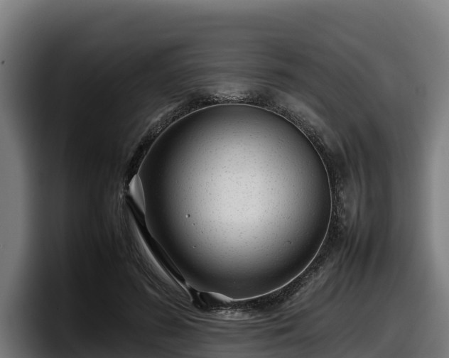 X0000097840596200803201519