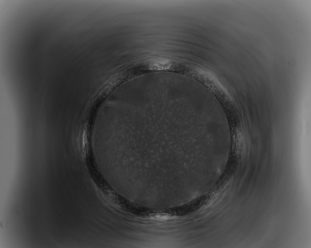 X0000097840598200803201519