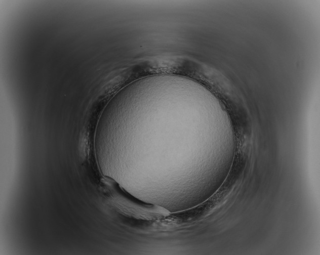X0000097840599200803201519