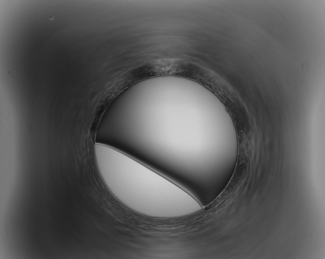 X0000097840601200803201519