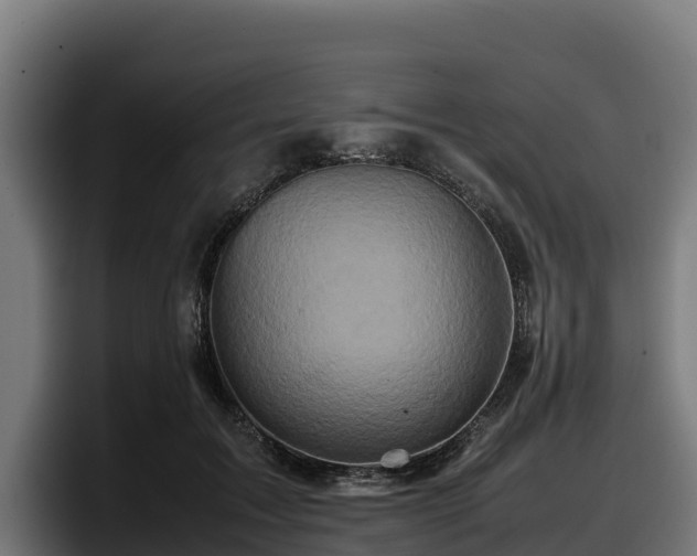 X0000097840603200803201519