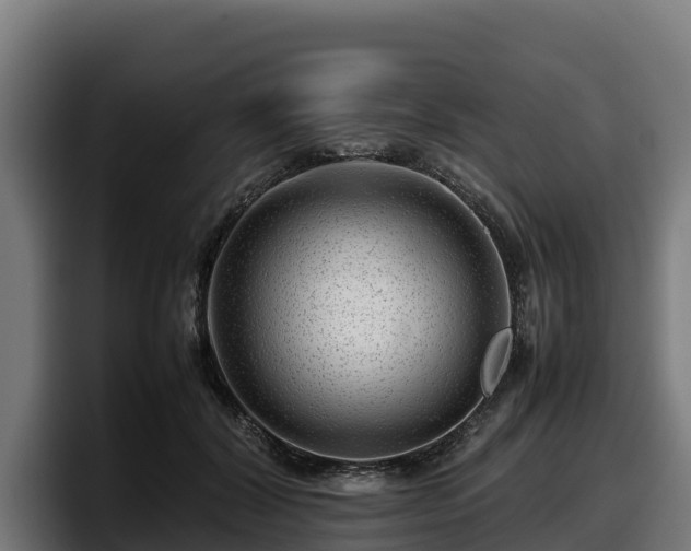 X0000097840604200803201519