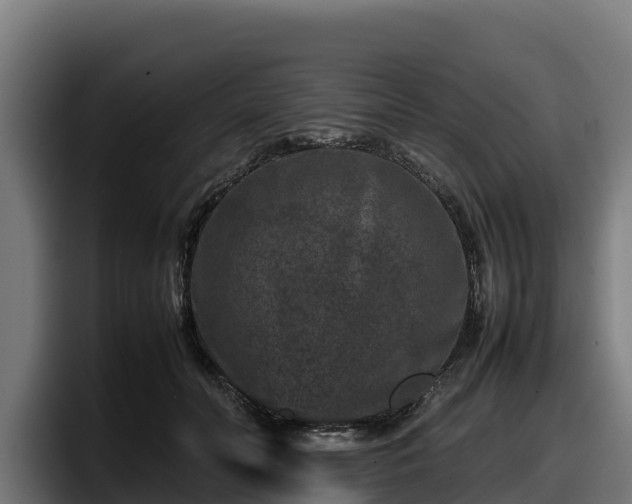 X0000097840606200803201519