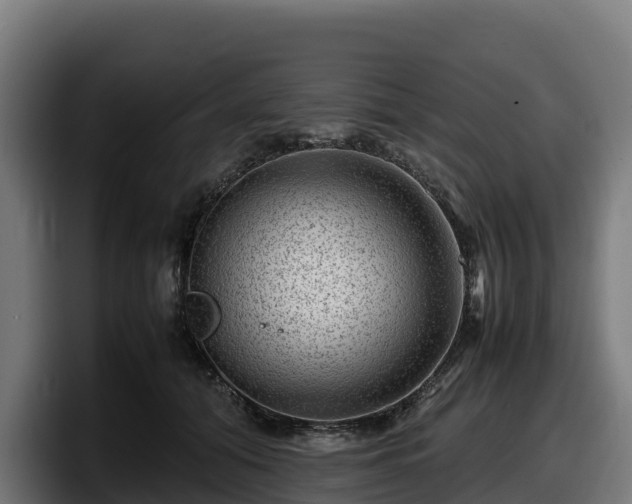 X0000097840608200803201519