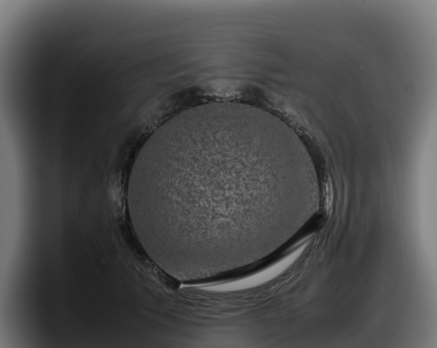 X0000097840609200803201519