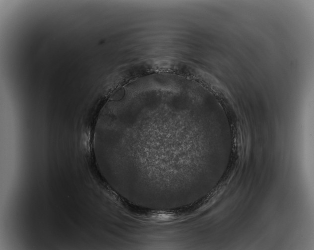 X0000097840610200803201519