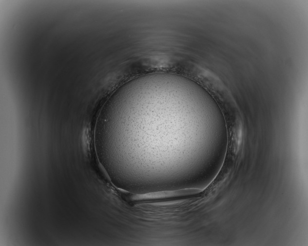 X0000097840612200803201519