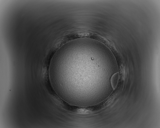 X0000097840614200803201519