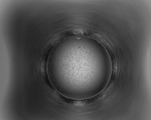 X0000097840616200803201519