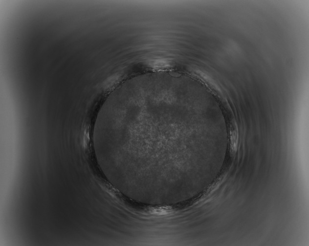 X0000097840618200803201519