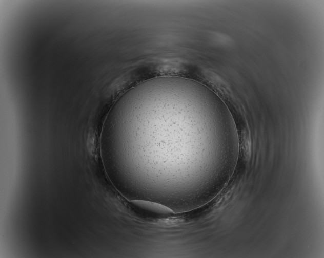 X0000097840619200803201519
