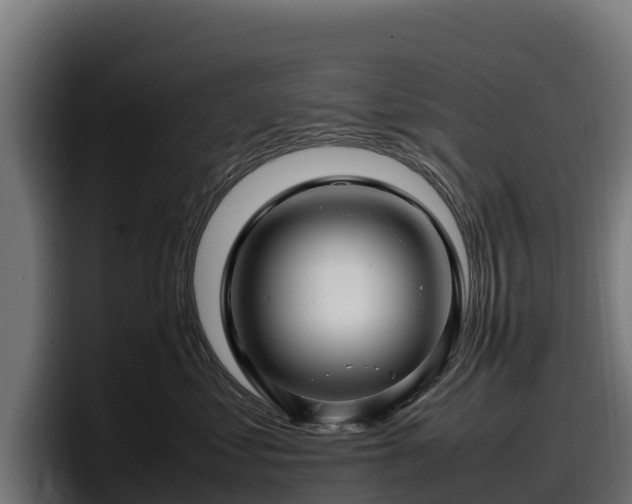 X0000097840621200803201519