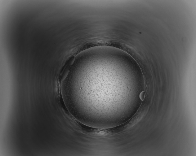 X0000097840624200803201519