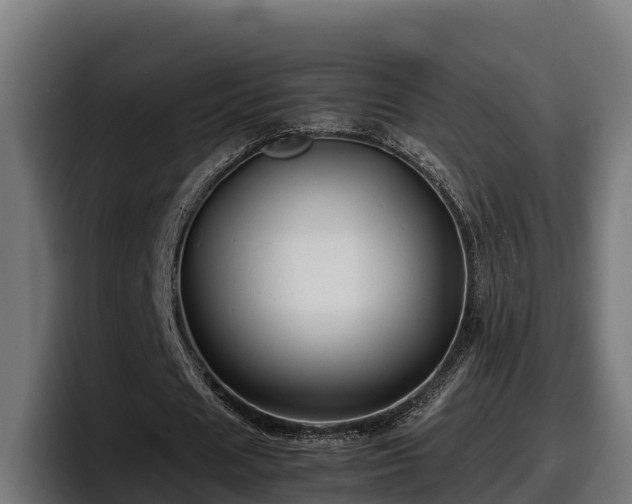 X0000097840625200803201518