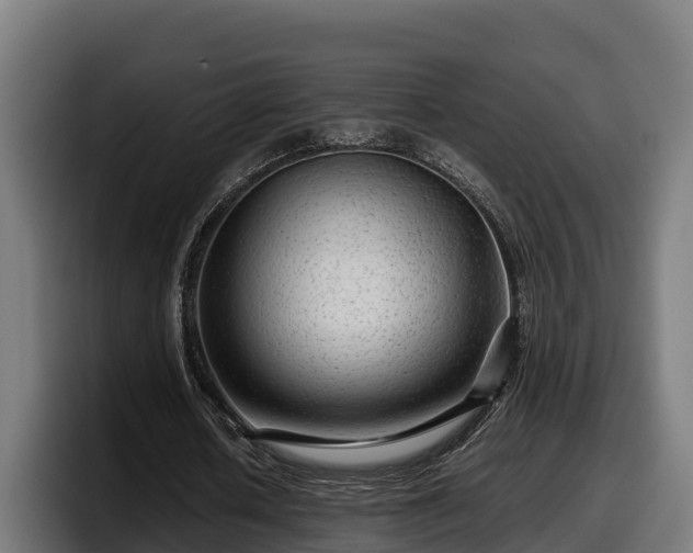 X0000097840626200803201518