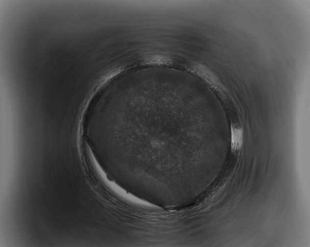 X0000097840627200803201518