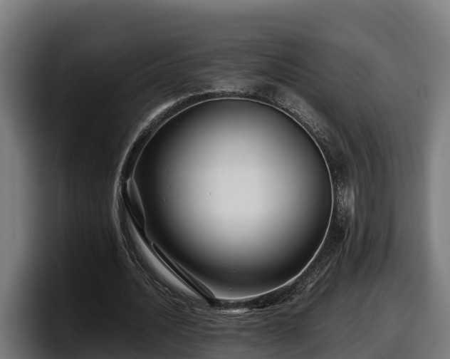 X0000097840628200803201518