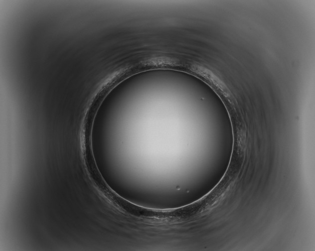 X0000097840629200803201518