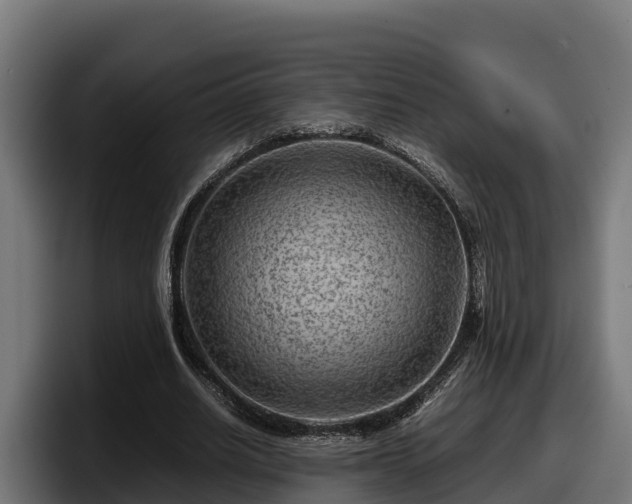 X0000097840630200803201518