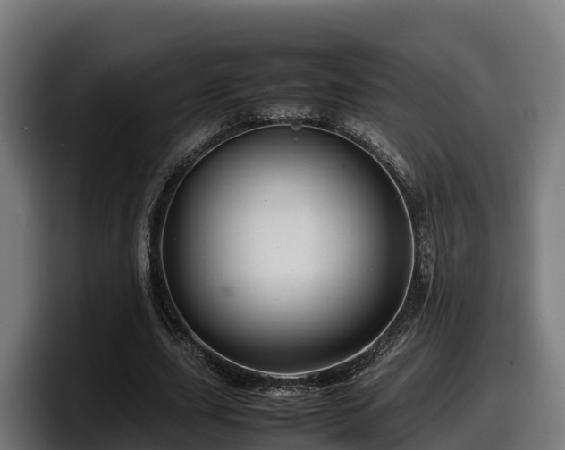 X0000097840631200803201518