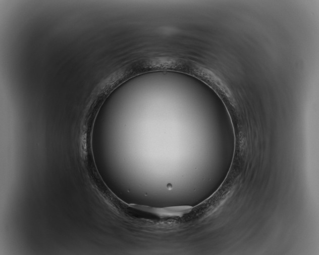 X0000097840633200803201518
