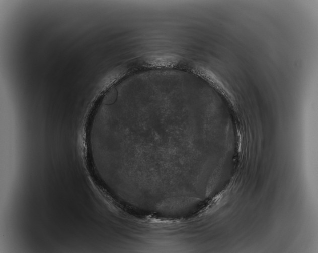 X0000097840634200803201518