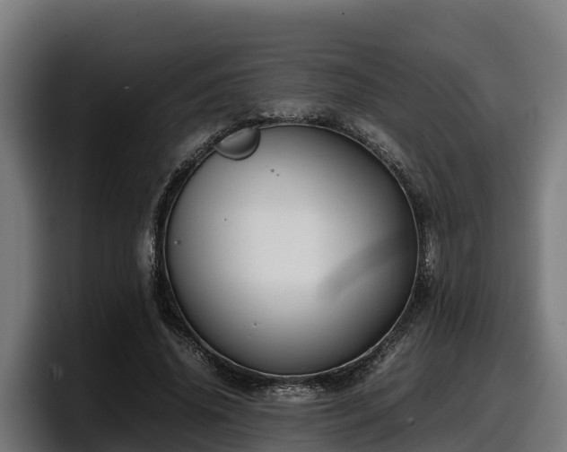 X0000097840636200803201518