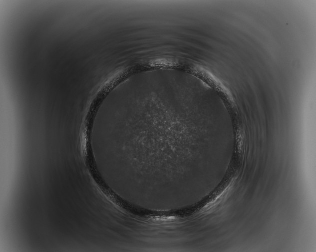 X0000097840637200803201519