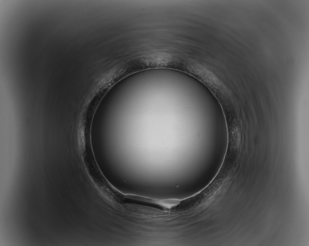 X0000097840638200803201519
