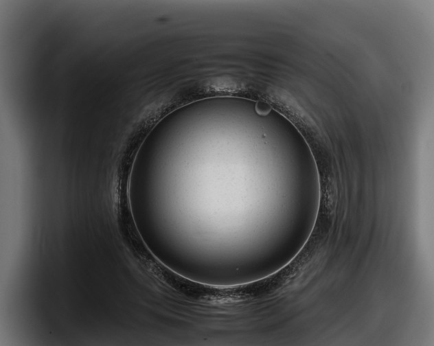 X0000097840639200803201519