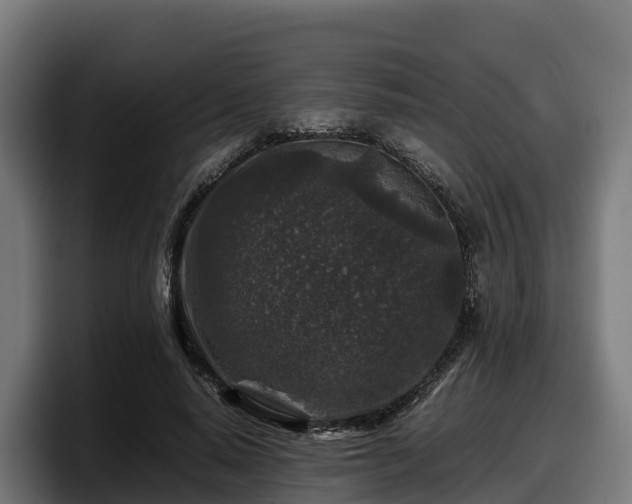 X0000097840640200803201519