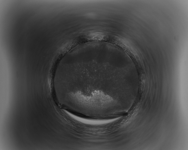 X0000097840641200803201519