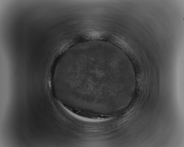 X0000097840642200803201519