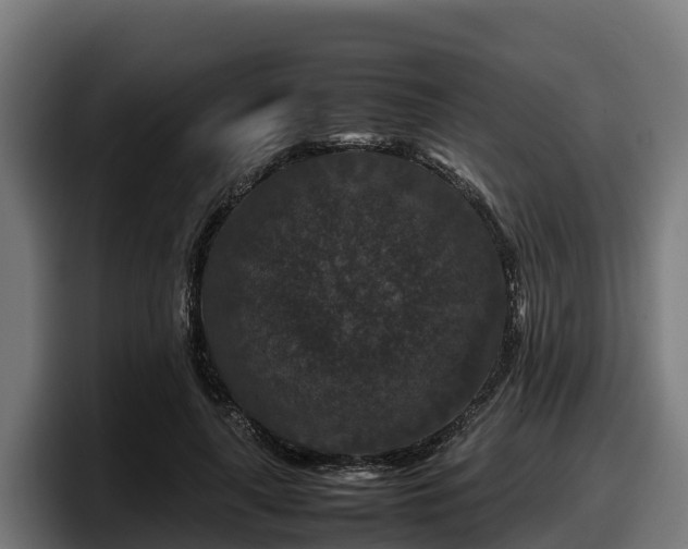 X0000097840643200803201519