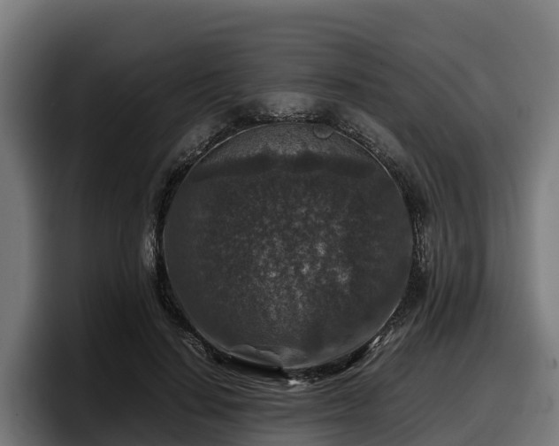 X0000097840644200803201519