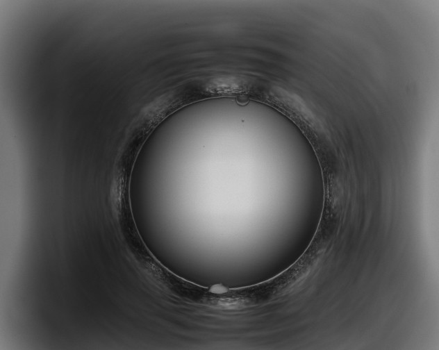 X0000097840645200803201519