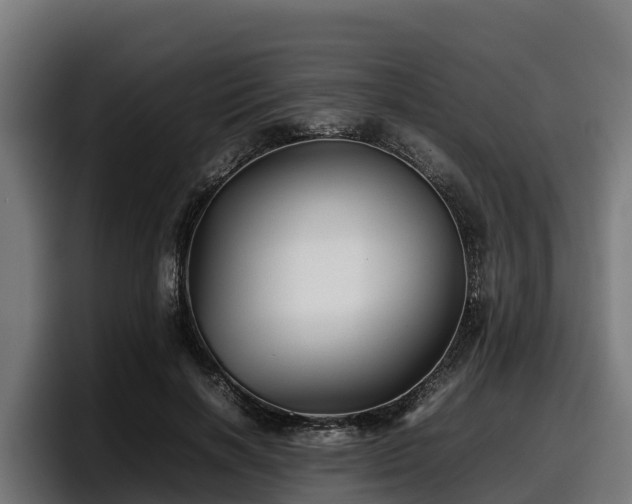 X0000097840646200803201519