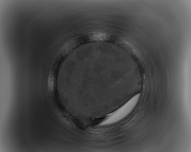 X0000097840647200803201519